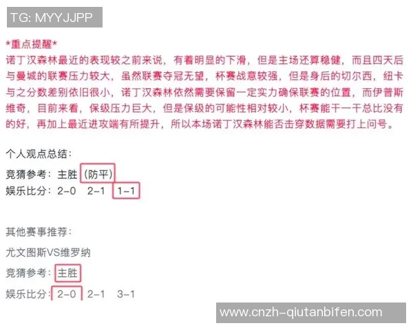 柔佛与水源的对决解析探讨两队战术与实力的较量与未来展望